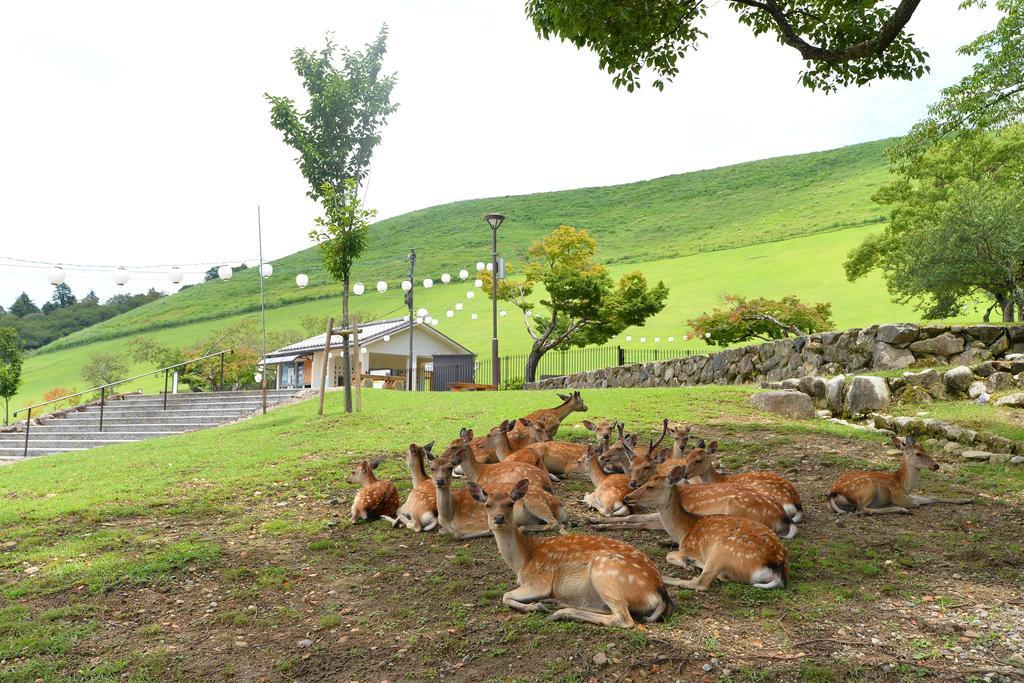 Kotonoyado Musashino Nara Ngoại thất bức ảnh