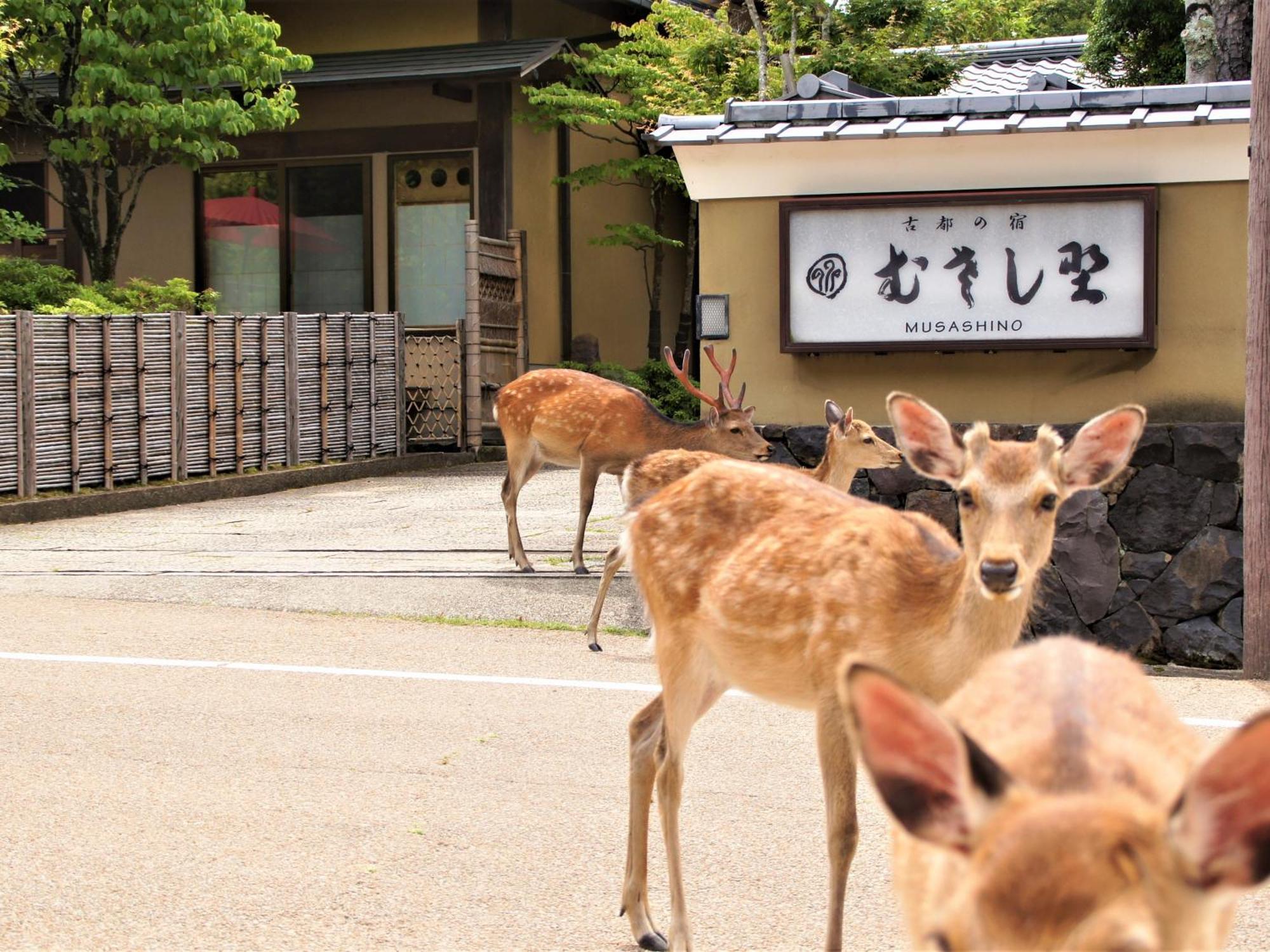 Kotonoyado Musashino Nara Ngoại thất bức ảnh