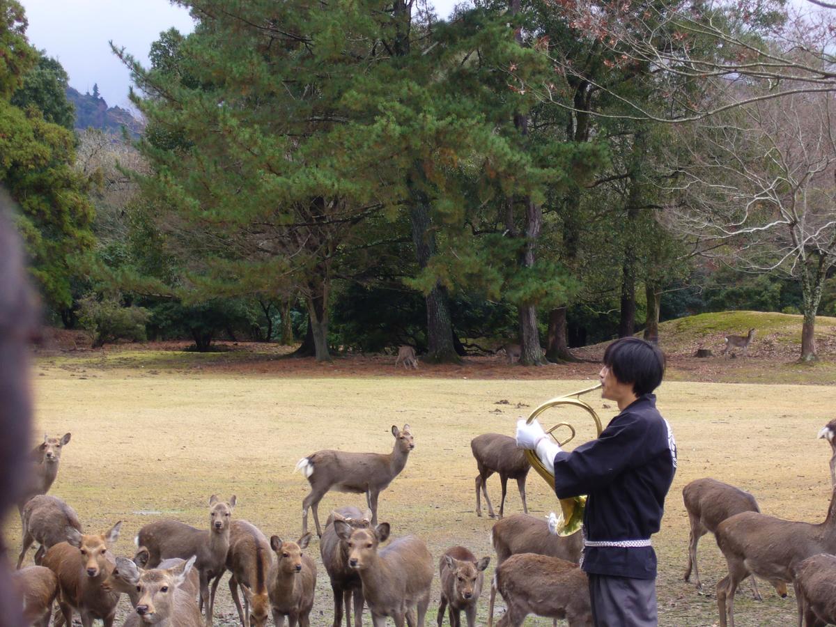 Kotonoyado Musashino Nara Ngoại thất bức ảnh